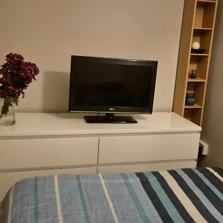 Feriehus Whole Private Flat - Dublin